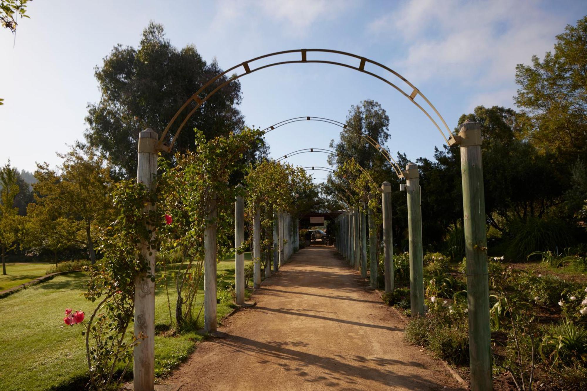 La Casona At Matetic Vineyards Guest House Lagunillas Exterior photo