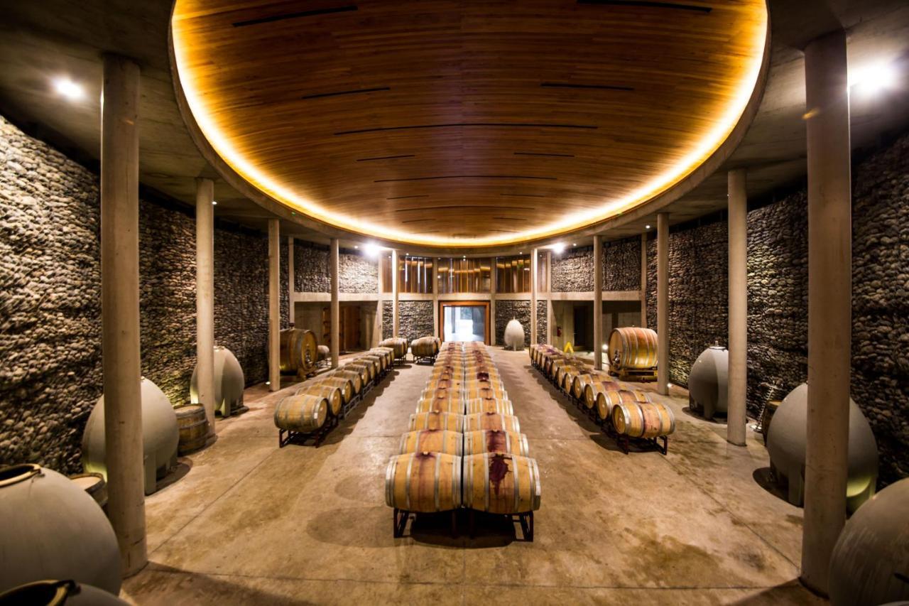 La Casona At Matetic Vineyards Guest House Lagunillas Exterior photo